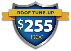 Roof Tune up Services at $255 + Tax