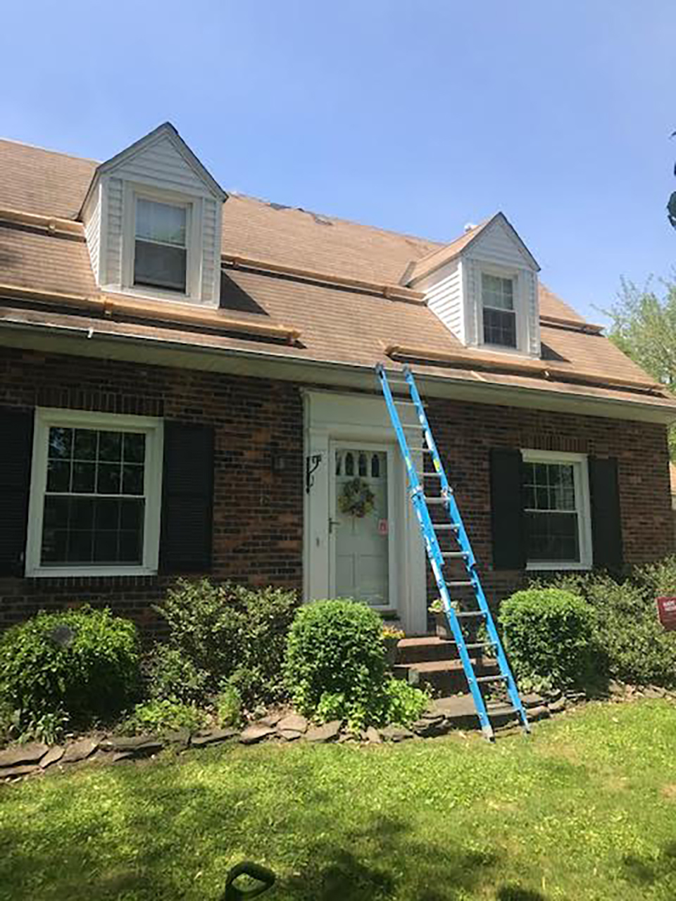 Roof Installation In Clarence by WCRott