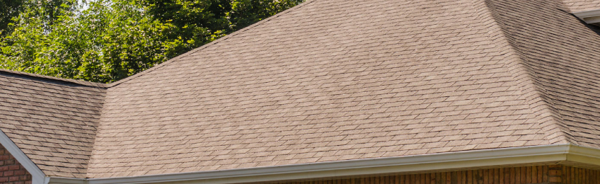 Roof Cleaning Services in Buffalo, NY