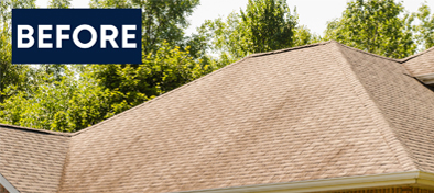 Routine Care - Roof Cleaning Services